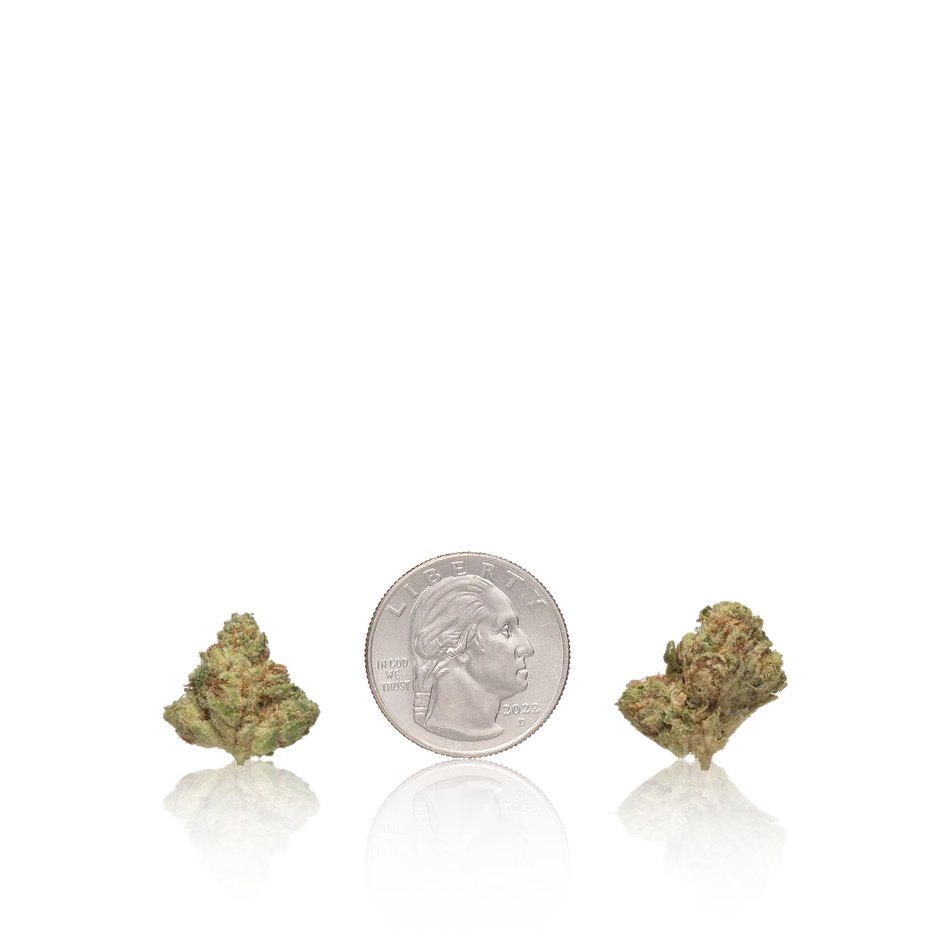 Bulk Premium Smalls