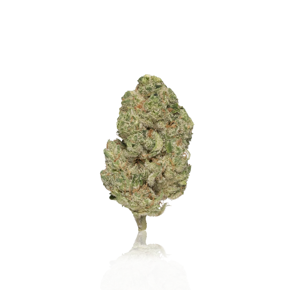 Premium Flower