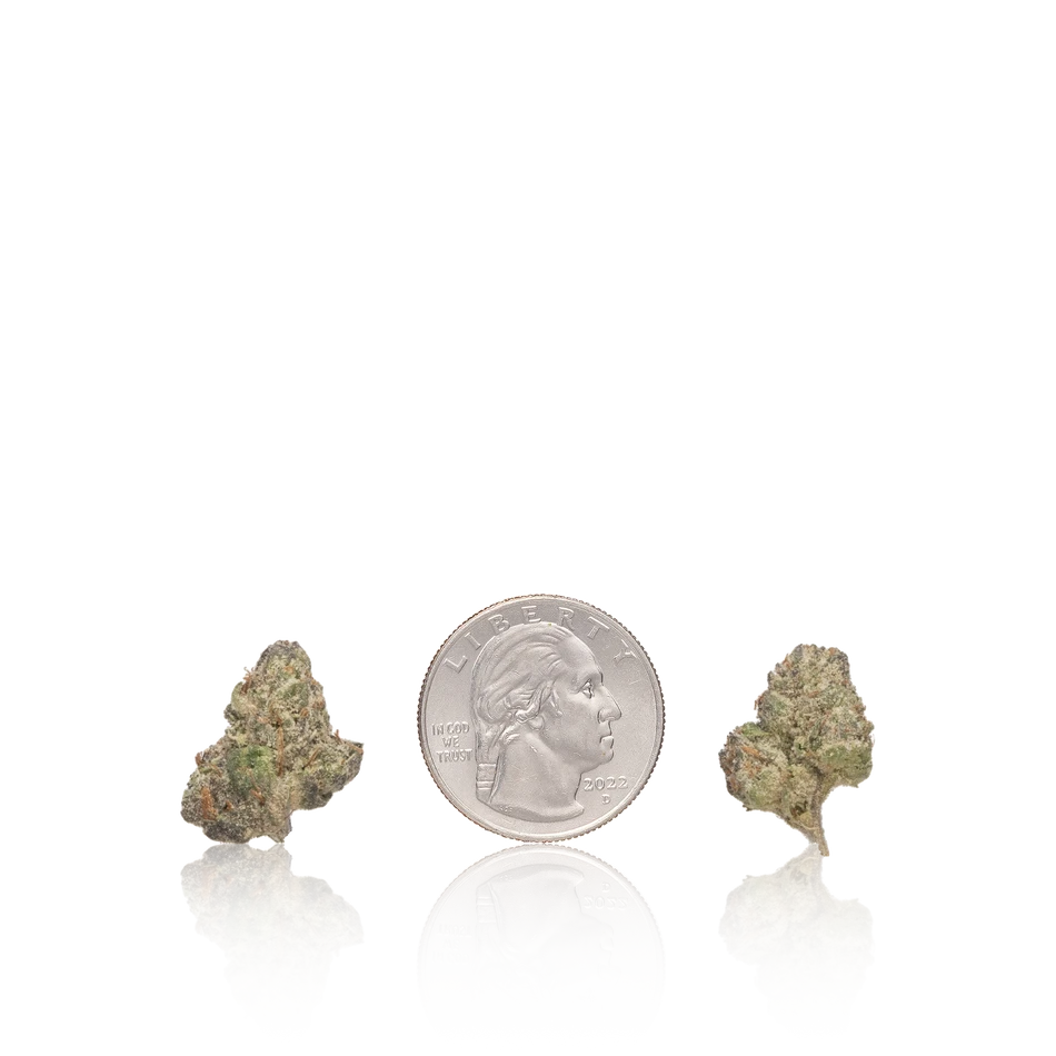 Exotic Smalls