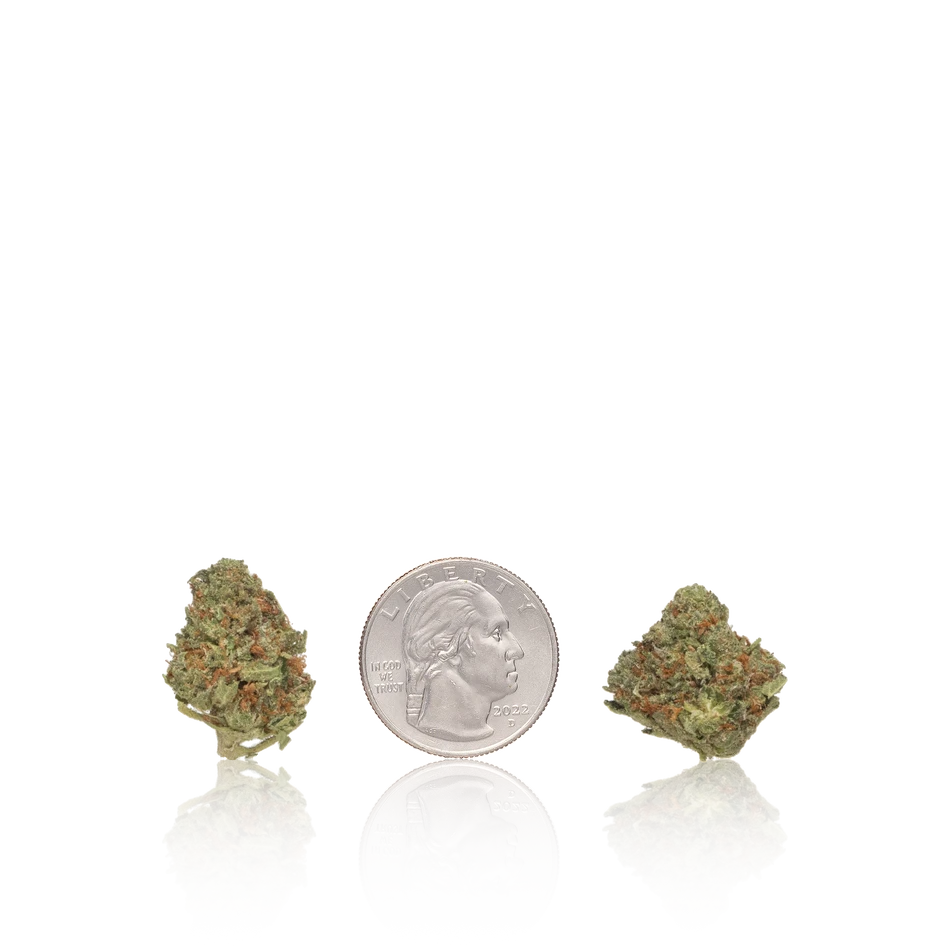 Bulk Value Smalls