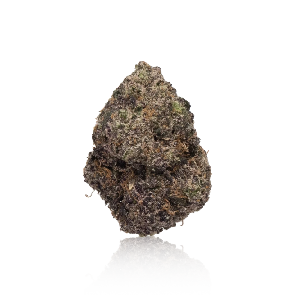 Exotic Flower