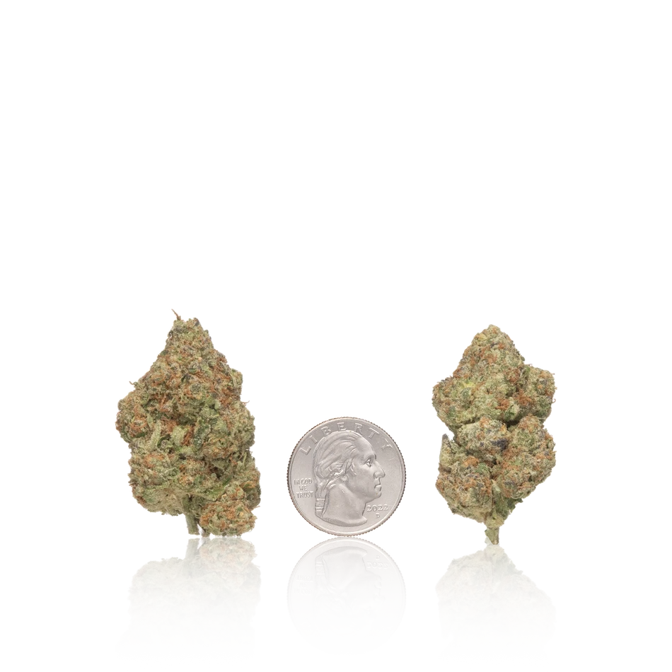 Premium Flower