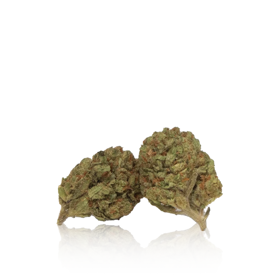 Budget Flower