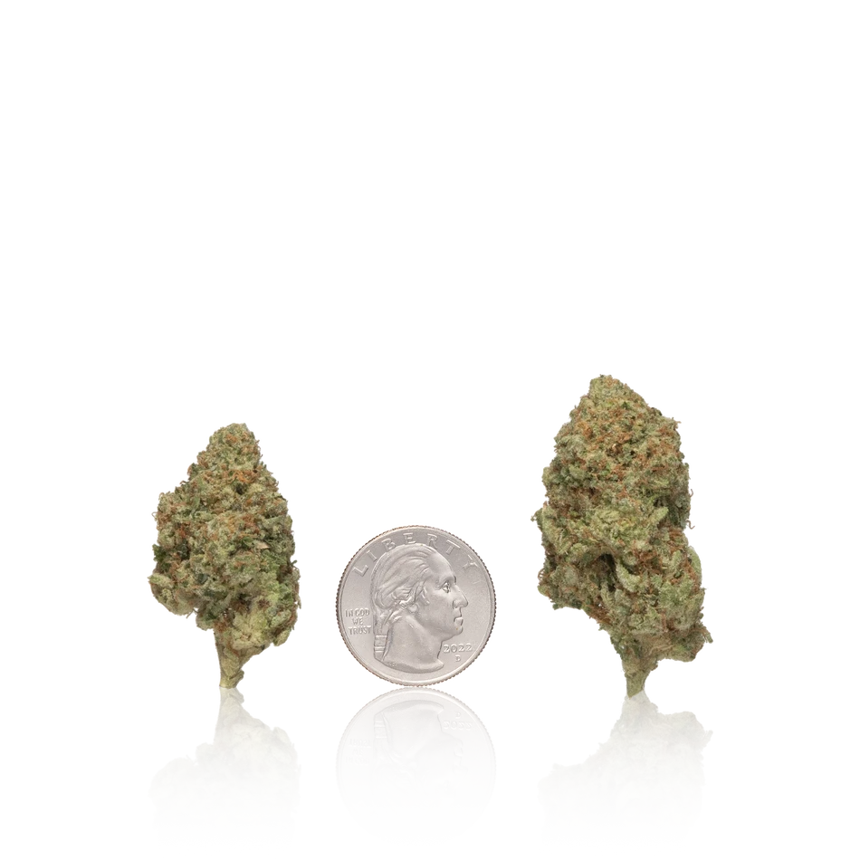 Bulk Premium